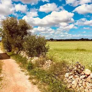 Сasa de vacaciones Arthouse Mit Haus Galeria 110qm Und Appartementhaus Mit Patio 30qm, Campos (Mallorca)